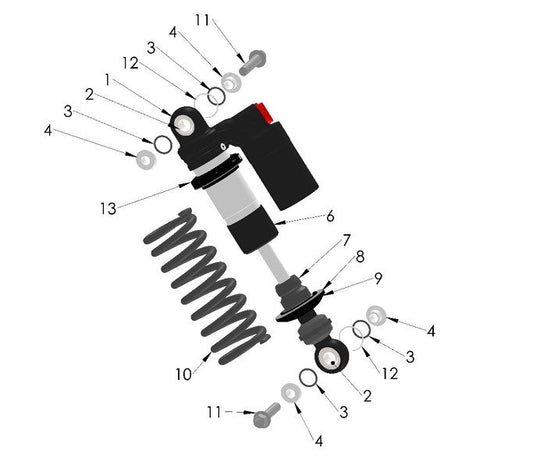2024 Cobra CX50 SRx KING -  SHOCK - EXTERNAL
