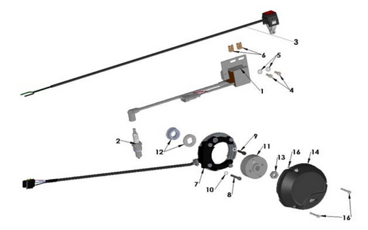 2019 Cobra CX50 FWE - ELECTRICAL SYSTEM