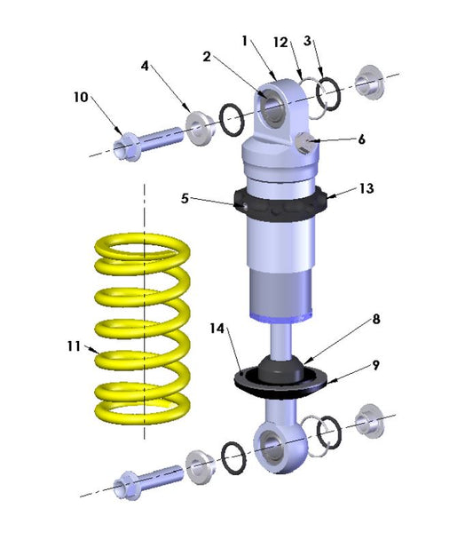 2022 Cobra CX50 P3 - SHOCK - EXTERNAL