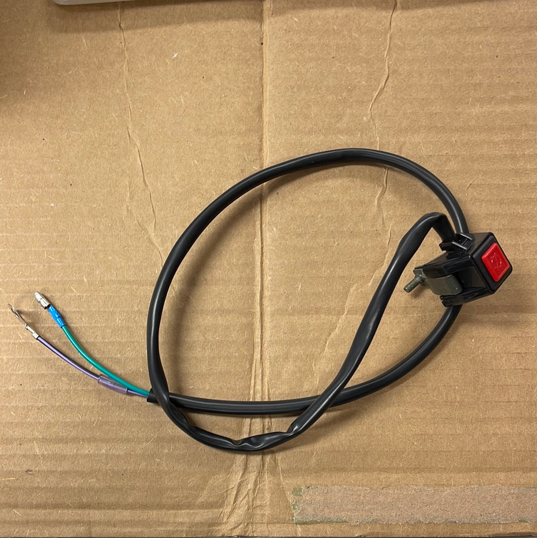 KILL SWITCH 2021 and newer FWE KING and 2022 and newer CX65