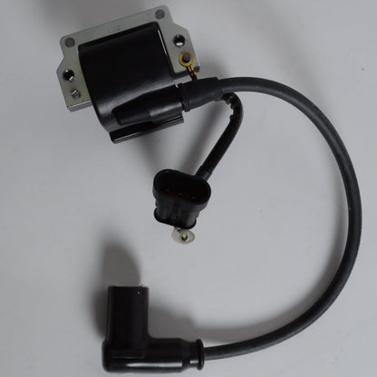 IGNITION COIL / CDI W/SPARK PLUG CAP - PVL 2021 CX50